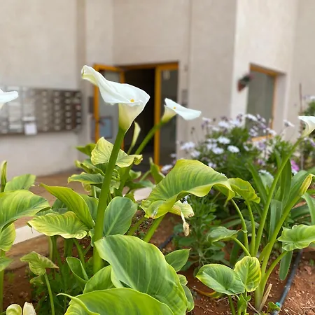 Ambar Beach Appartement Calpe