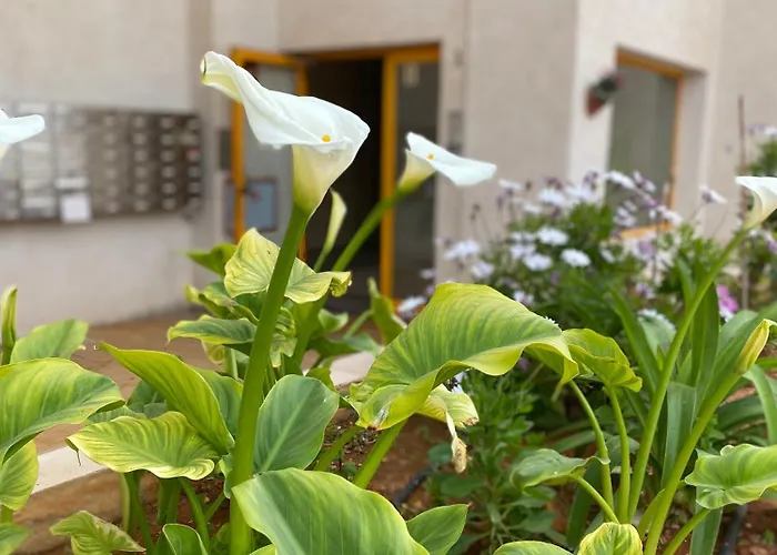 Ambar Beach Apartmán Calpe